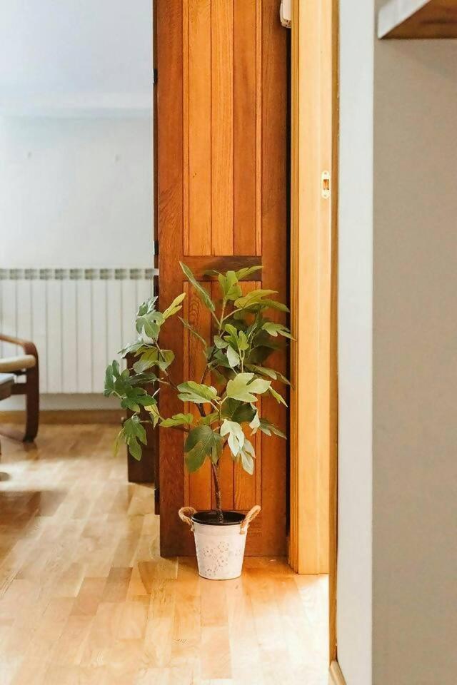 Апартаменты Casa Begona - Wifi Sencillo Y Acogedor Сальент-де-Гальего Экстерьер фото
